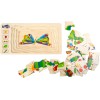 Multi-layered wooden caterpillar puzzle