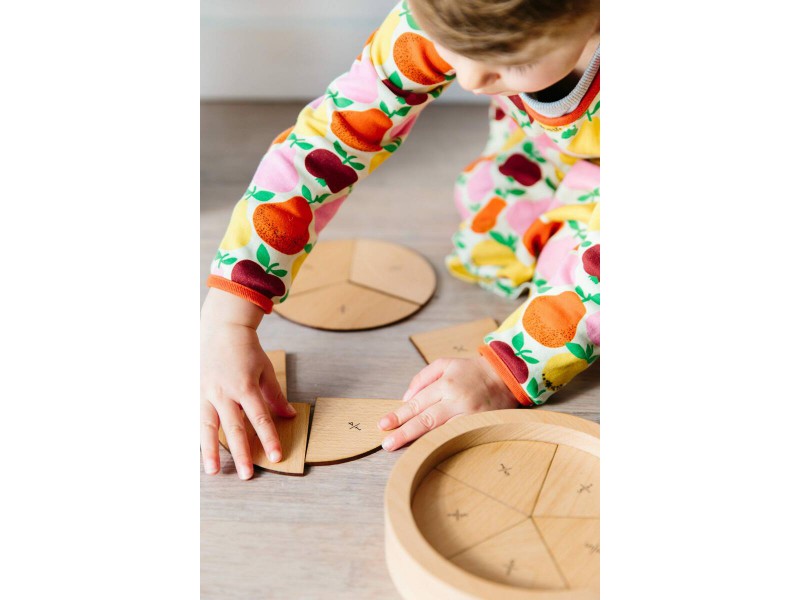 Learning fractions wooden puzzle