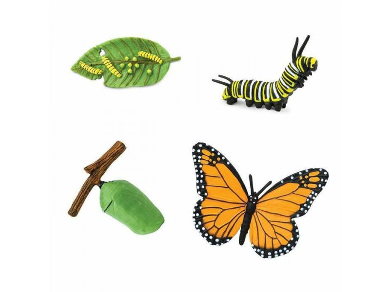 Butterfly life cycle figurines 4pcs
