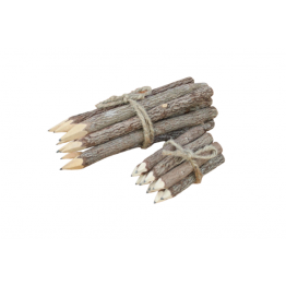 Stubby tree lead pencils plain Pk10