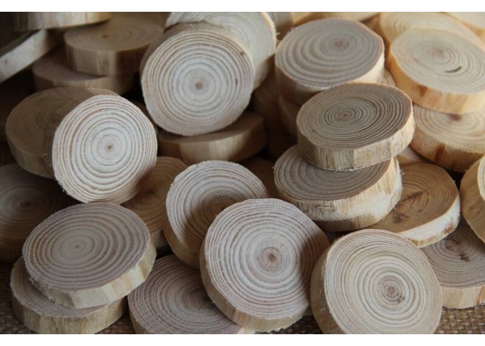 Natural log slices 20pcs