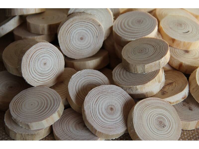 Natural log slices 20pcs