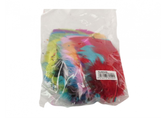 Feathers assorted colours 4cm
