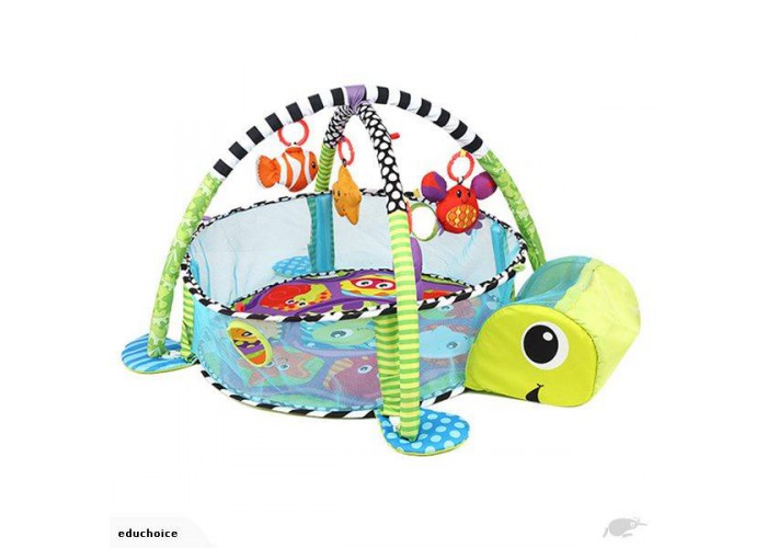 Activity Gym and Ball Pit play mat