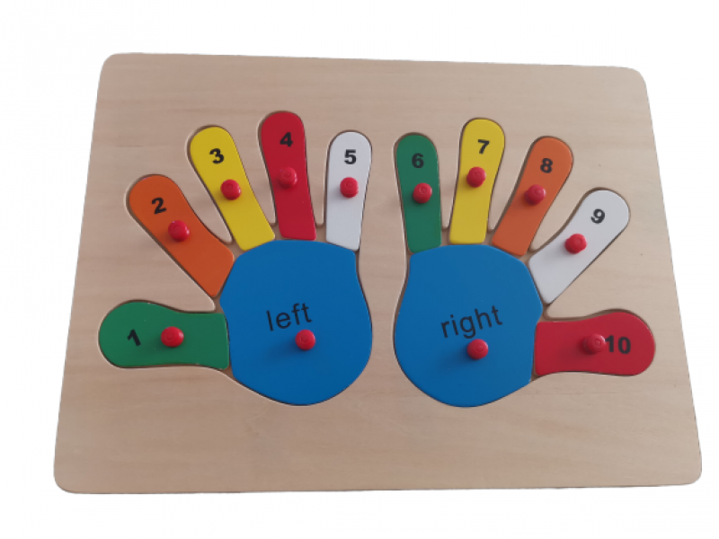 Fingers counting puzzle with knobs