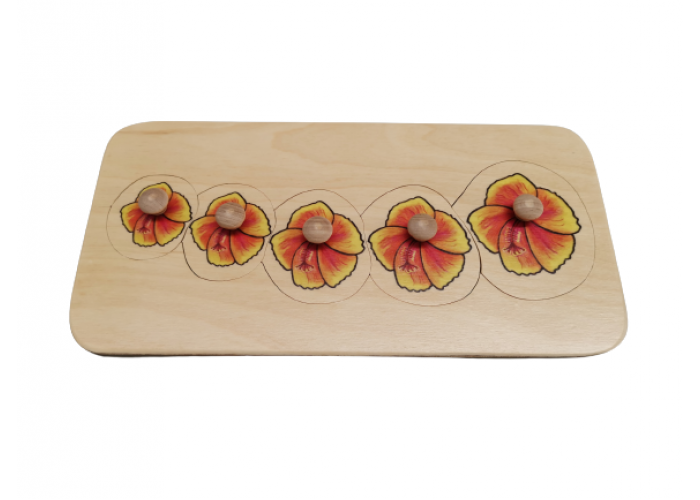 Hibiscus flower seriation puzzle with knobs 5pcs